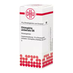 CHIMAPHILA UMBELLATA D 6 Globuli Produktbild 3