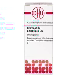 Chimaphila Umbellata D6