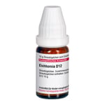 EICHHORNIA D 12 Globuli Produktbild 4