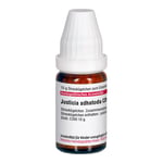 Justicia adhatoda C 200
