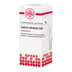 Justicia adhatoda C 200