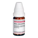 SALVIA OFFICINALIS D 6 Globuli Produktbild 4