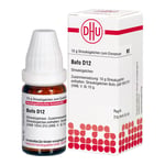 Bufo D12