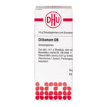 OLIBANUM D 6 Globuli Produktbild 1
