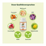 Dr. Jacob's Boswellia MSM forte Weihrauch Quercetin OPC Produktbild 4