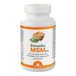 Dr. Jacob's Boswellia MSM forte Weihrauch Quercetin OPC Produktbild 1