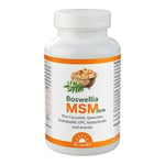 Dr. Jacob's Boswellia MSM forte Weihrauch Quercetin OPC Produktbild 1