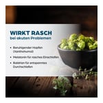 Dr. Böhm Einschlaf plus