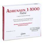 Adrenalin 1:1000 Pädia 1 mg/ml Injektionslösung Produktbild 1