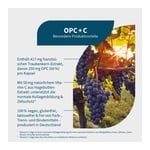OPC+C Kapseln Produktbild 2