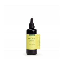 Artemisia Annua Pflanzenau