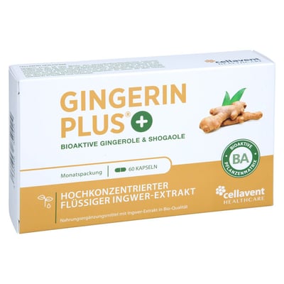 Gingerin PLUS