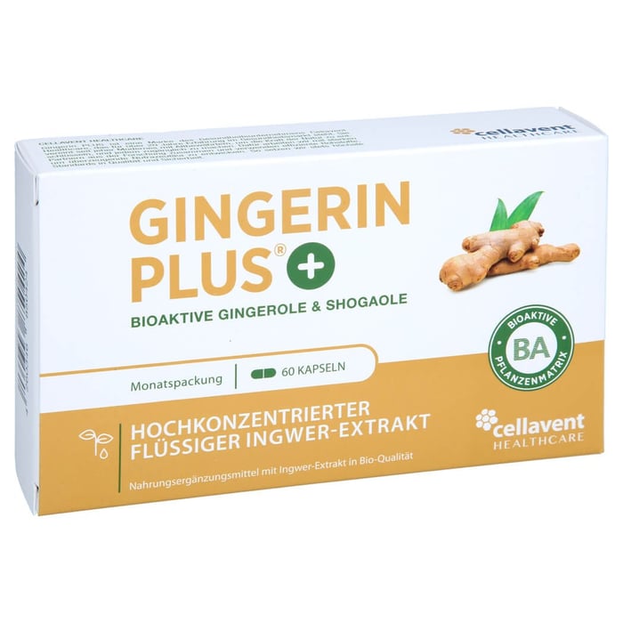 Gingerin PLUS