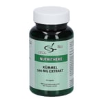 Kuemmel 500 mg Extrakt Produktbild 1