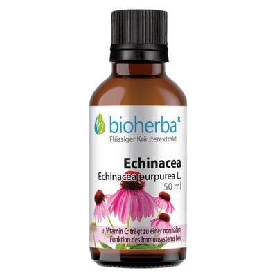 Echinacea