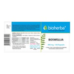 Boswellia 400 mg