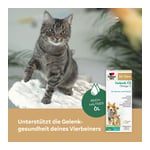 Doppelherz für Tiere Gelenk Öl für Katzen + Hunde
