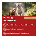 Doppelherz für Tiere Gelenk Öl für Katzen + Hunde