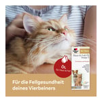Doppelherz für Tiere Haut&Fell Öl für Katzen+Hunde
