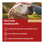 Doppelherz für Tiere Haut&Fell Öl für Katzen+Hunde