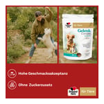 Doppelherz für Tiere Gelenk Complex für Hunde