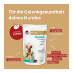 Doppelherz für Tiere Gelenk Complex für Hunde