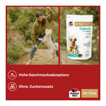 Doppelherz für Tiere Gelenk Complex für Hunde