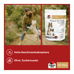 Doppelherz für Tiere Haut&Fell Complex für Hunde