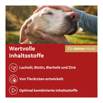Doppelherz für Tiere Haut&Fell Complex für Hunde
