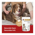 Doppelherz für Tiere Haut&Fell Complex für Hunde
