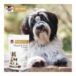 Doppelherz für Tiere Haut&Fell Complex für Hunde