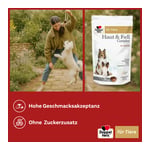 Doppelherz für Tiere Haut&Fell Complex für Hunde