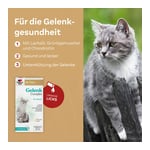 Doppelherz für Tiere Gelenk Complex für Katzen