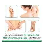 neuroLoges concept