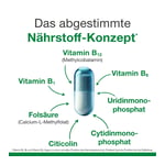 neuroLoges concept
