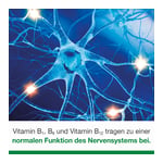 neuroLoges concept