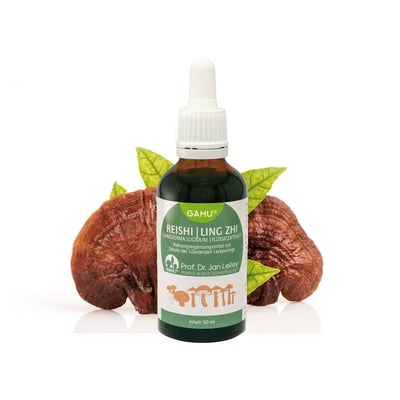 Reishi Fluessig Extrakt
