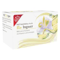 H&S Bio Ingwer Filterbeutel