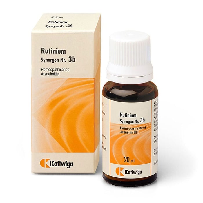 Synergon Komplex Rutinium S 3b