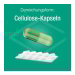 Zink Verla immun Caps