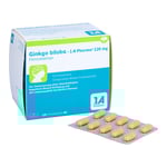Ginkgo biloba-1A Pharma 120 mg