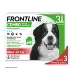 Frontline Spot on Hund XL