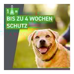 Frontline Spot on Hund XL