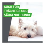 Frontline Spot on Hund XL Produktbild 8