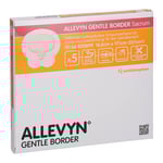Allevyn Gentle Bo16.8x17.1
