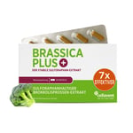 Brassica PLUS