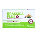 Brassica PLUS