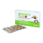 Brassica PLUS Produktbild 4