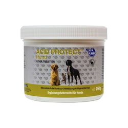 Acid Protect Hund