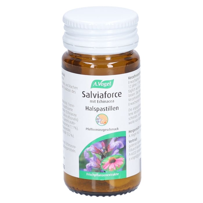 A Vogel Salviaforce Echina